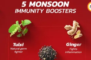 Monsoon Immunity Boosters: 5 Natural Herbs That Work in 2026