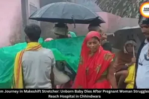 Chhindwara Pregnant Woman Carried 8 Km in Stretcher, Unborn Baby Dies