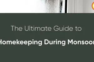 Monsoon Cleaning Hacks 2026: Natural Ways to Keep Home Fresh and Pest-Free