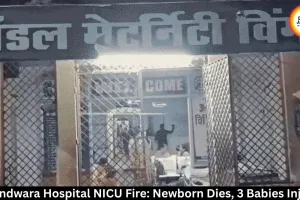 Chhindwara Hospital NICU Fire: Newborn Dies, 3 Babies Injured