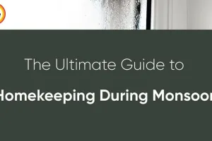 Monsoon Cleaning Hacks: 5 Natural Ways to Beat Dampness and Pests in 2026