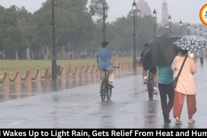 Delhi Weather: Light Rain Brings Relief From Heat and Humidity