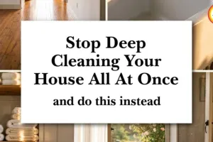 Monsoon Cleaning Hacks: Natural Ways to Keep Your Home Pest-Free in 2026
