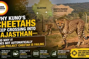 Why Kuno’s Cheetahs Keep Crossing Into Rajasthan—and Why It Does Not Automatically Mean Project Cheetah Is Failing