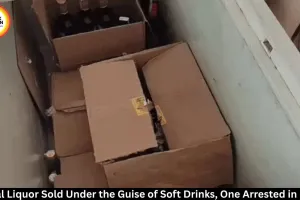 Rewa Police Bust Illegal Liquor Racket, 24 Litres Seized; Shop Owner Arrested