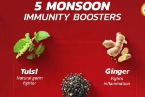 Natural Health Hacks for Daily Life: Ayurvedic Tips for Monsoon Wellness 2026