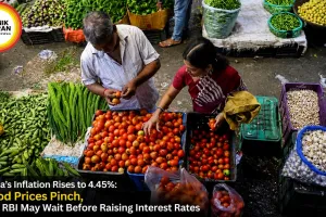 India’s Inflation Rises to 4.45%: Food Prices Pinch, but RBI May Wait Before Raising Interest Rates
