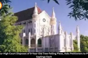 MP High Court Disposes of 9-Year-Old Tree-Felling Pleas, Orders Petitioners to Plant Saplings