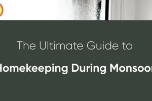  Natural Monsoon Cleaning Hacks: Pest Control Tips for Indian Homes 2026
