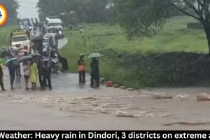 MP Weather: Heavy Rain in Dindori, Alert in 3 Districts