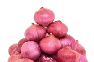 Rs 35 Government Onion Versus Rs 60 Market Onion: Who Can Actually Buy It?