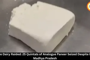 Sehore News: 25 Quintals Analogue Paneer Seized From Dairy Despite Ban
