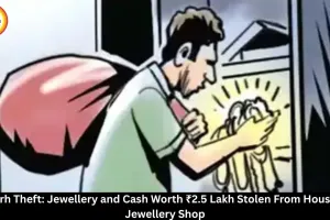 Raigarh Theft: ₹2.5 Lakh Jewellery and Cash Stolen From House, Shop