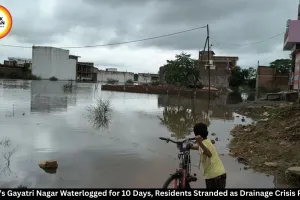Rewa’s Gayatri Nagar Waterlogged for 10 Days, Residents Stranded as Drainage Crisis Persists