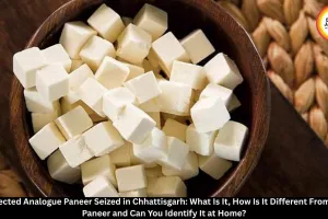 Analogue Paneer: What Is It, Difference From Real Paneer and How to Identify It