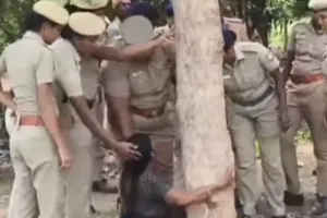 Kallakurichi Farmer Breaks Down as Over 100 Trees Are Felled for Power-Line Project