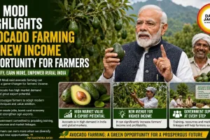 PM Modi Highlights Avocado Farming as New Income Opportunity for Farmers