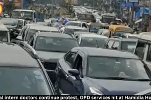 Bhopal Intern Doctors Protest: Hamidia OPD Hit