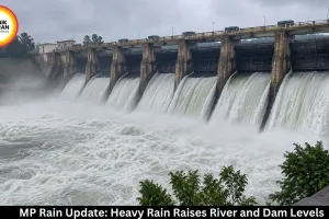 Madhya Pradesh Rain Update: Heavy Showers Continue in Several Districts, Rivers and Dams Overflow