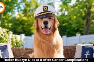 Tucker Budzyn, Internet’s Beloved Golden Retriever, Dies at 8 After Cancer Complications