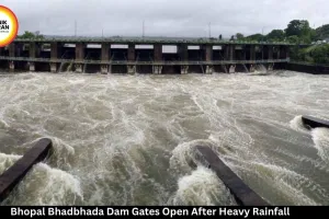 Bhopal Bhadbhada Dam Gates Opened After Rising Water Level, Residents Gather to Witness Monsoon Spectacle