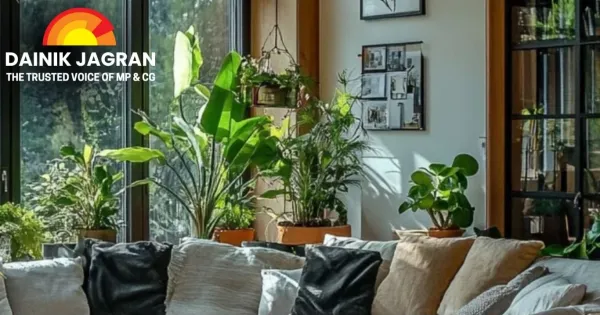 View of 9 Tips for Eco-Friendly Apartment Living - HILLS Properties